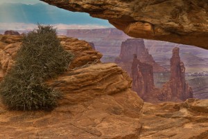 View through Mesa Arch